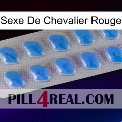 Red Knight Sex 22